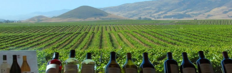 Edna valley Wine Country