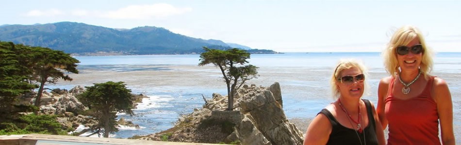 The Lone Cypress